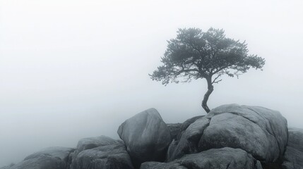 Lonely Tree on a Misty Mountain - Powered by Adobe