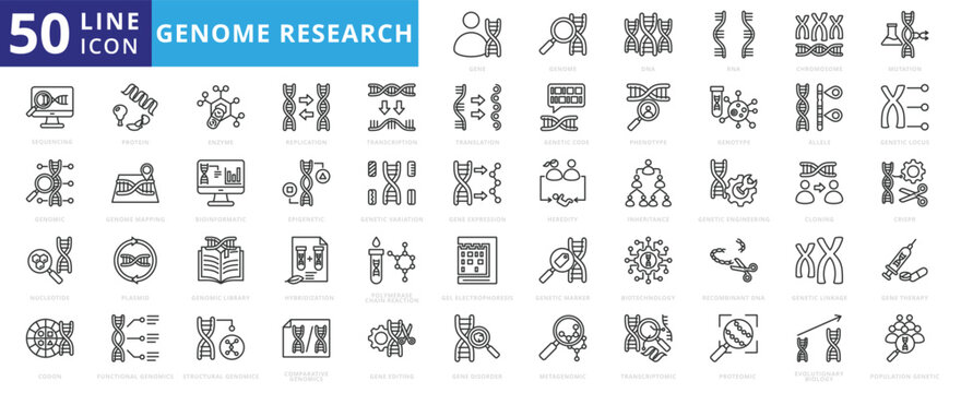 Genome research icon set with dna, rna, chromosome, mutation, sequencing, genomic, nucleotide, codon, protein, enzyme, transcription and replication.