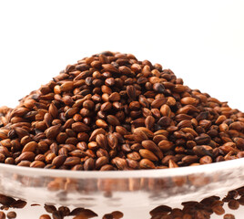 　麦茶　白バック