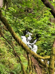 waterfall in the forest