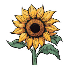 Design element, vector icon, yellow sunflower flower on white backdrop.  Ukrainian yellow flower.

