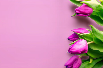Fototapeta premium Tongue fresh tulips usually considered as innocence flowers and are an extremely pleasant surprise when we give them just without a chance. On wooden background. Tulips on old boards, spring concept. 