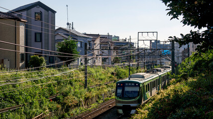 Naklejka premium 切通しを走る電車