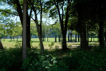 公園