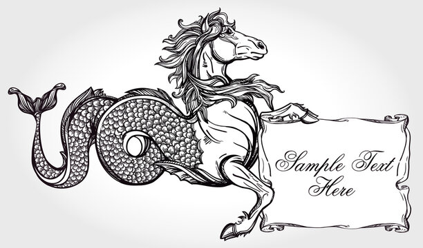 Hippocampus Mythical Sea Horse Tattoo Design with Scroll Banner Hand Drawn Vector Illustration