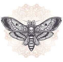 Deaths head hawk moth with mandala.