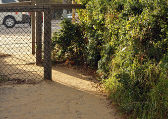 A chain-link fence gate surrounded by overgrown greenery leads to a road with cars in the background, Brighton, Melbourne, Australia