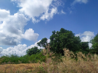 Obraz premium Vibrant Summer Sky Over Lush Countryside