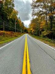 road in autumn forest