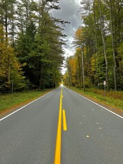 road in the forest