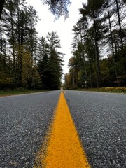 road in the forest