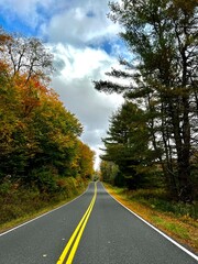 road in autumn forest