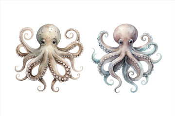 Obraz premium Monochrome watercolor octopus Clipart. Beautiful Octopus Watercolor Clipart, Marine Animal Colored Design for Your Corporate and Business. PNG File.