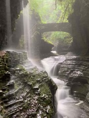 waterfall in the forest