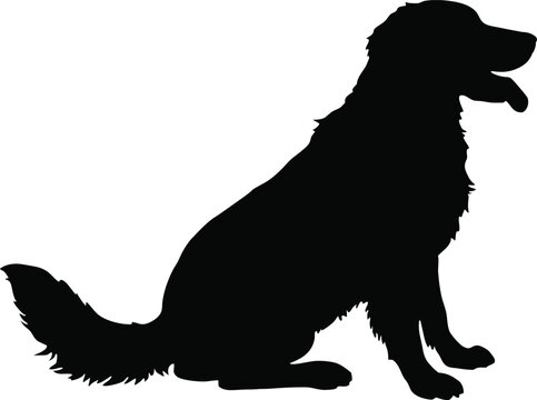 recommend clip art: 
                    Golden Retriever Dog Breed Silhouette Vector, Dogs and puppies in different breed, corgi, golden retriever, poses, sitting, standing
                    
                    