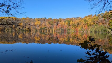 autumn in the forest