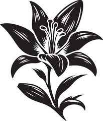 Lily flower silhouette vector illustration
