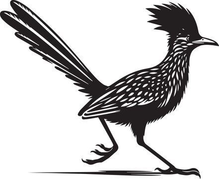 recommend clip art: black roadrunner silhouette vector simple black and white