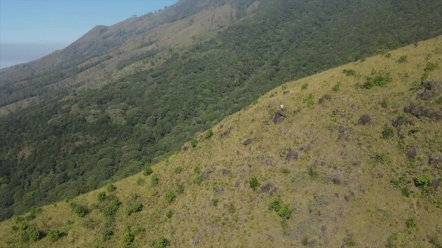 aerial view of Mount Arjuno
