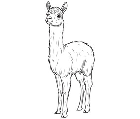 Alpaca silhouette vector, llama line art vector, animal vector © Md.Riaz