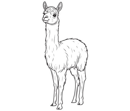recommend clip art: Alpaca silhouette vector, llama line art vector, animal vector
