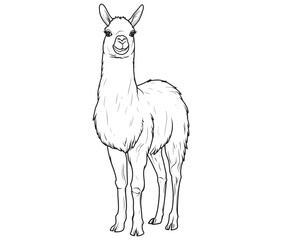 Fototapeta premium Alpaca silhouette vector, llama line art vector, animal vector