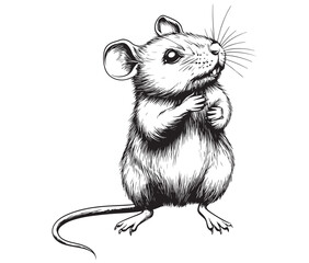 Mice silhouette vector, Mouse vector, Rat  vector