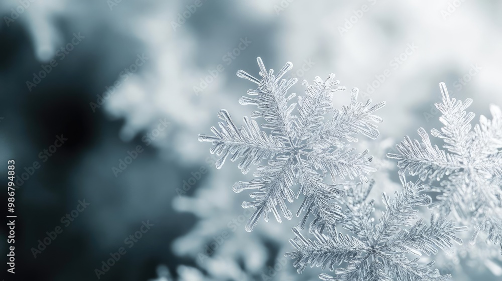 Poster Delicate snowflake captured in soft focus, showcasing intricate patterns and shimmering details in a winter wonderland setting.