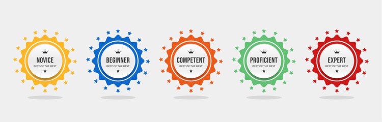 Set bundle badges for skill levels Novice to Expert colorful vector illustration template