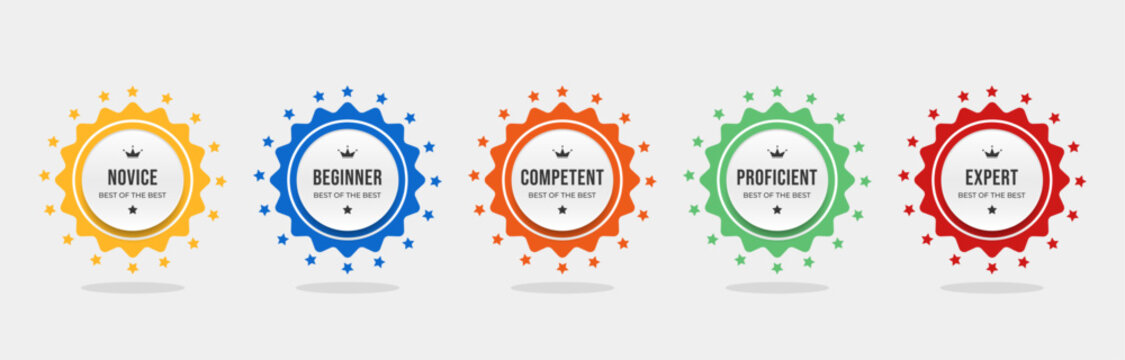Set bundle badges for skill levels Novice to Expert colorful vector illustration template