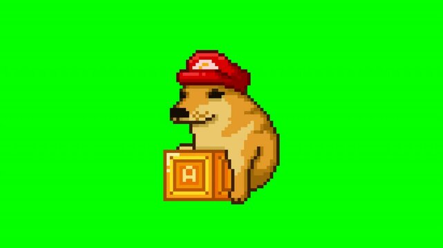 Dog with a hat and a mysterious bucket, pixel art animation meme