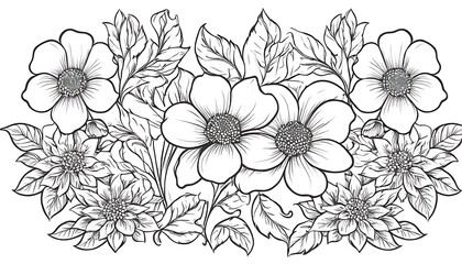 Doodled Chrysanthemum Floral Frame With Background,illustration, cute, flower, leaf, nature, single flower, vector, plant, black and white, doodle, femininity, monochrome, copy space,56