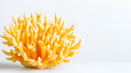 Realistic illustration of a yellow staghorn coral, against white background, stunning, amazing,...