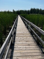 wooden bridge over the river