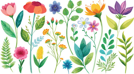 Fototapeta premium Watercolor wildflowers and leaves illustration set,,Beautiful floral set with watercolor hand drawn,Stock illustration,wild plants,flowers,Garden, meadow,pattern,leaf,Nature clipart,wedding invitation