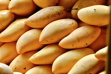 A bunch of ripe, appetising, thai mangoes laid out on the counter for sale.
