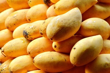 A bunch of ripe, appetising, thai mangoes laid out on the counter for sale.