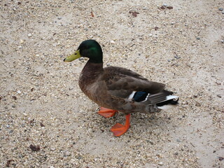 Random snapshot in France, Lyon, Avignon, Marseille