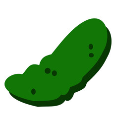 illustration of a cucumber