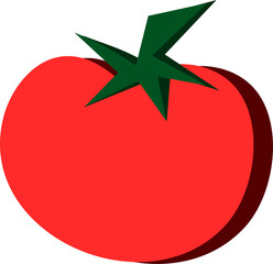 vegetable tomato illustration in vector.