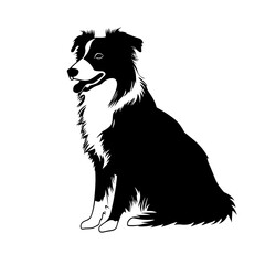 vector silhouette of a Collie