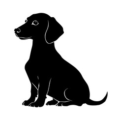 vector silhouette of a Dachshund