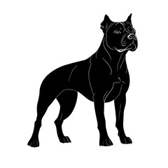 vector silhouette of a Dogo Argentino