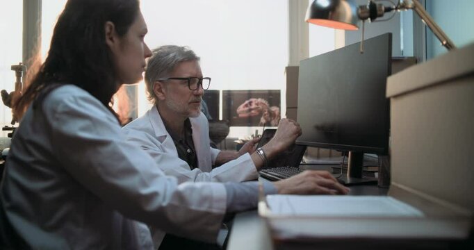 Male and female scientists discuss 3D model of human head anatomy displayed on PC and tablet computer screen, conduct scientific research. Archaeologists or paleontologists work in archaeological lab.