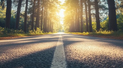 Obraz premium Empty Asphalt Road at Sunset with Trees and Shadows