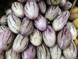 Purple pepino fruit or Dutch cucumber
