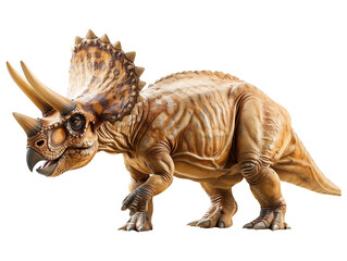 High Quality Triceratops Dinosaur Isolated on Transparent Background for Paleontology Projects