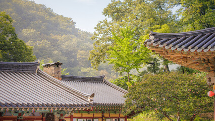 A view of the temple roofs and many trees in vivid colors on a rainy day