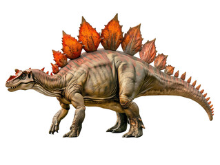 Fototapeta premium Stegosaurus Dinosaur Isolated on Transparent Background Ready for Use in Educational Themes