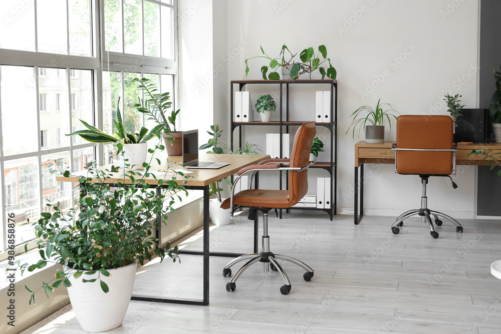 Poster Interior of office with desks, shelf unit and green plants